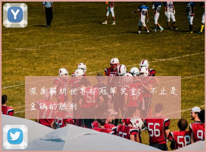 深度解析世界杯冠军奖金:不止是金钱的胜利