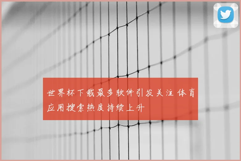 世界杯下载最多软件引发关注 体育应用搜索热度持续上升